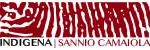 Indigena Sannio Camaiola